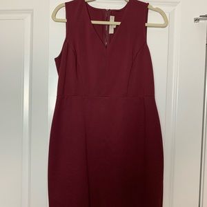Ann Taylor Loft Shift Dress